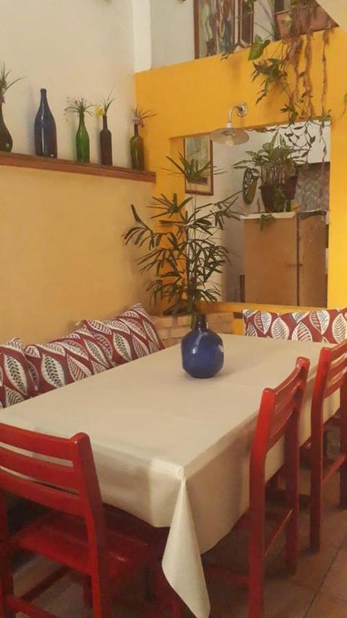 Albergue Flor Amarela Balneario Camboriu